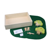 Second Creation - The Falling Apart