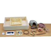 The Story of Abraham