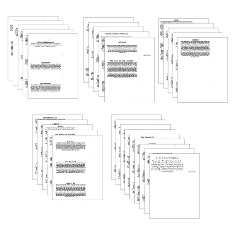 The Books of the Bible